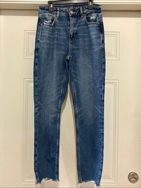 American Eagle Outfitters Strigid Mom Jean Size 2 NWOT
